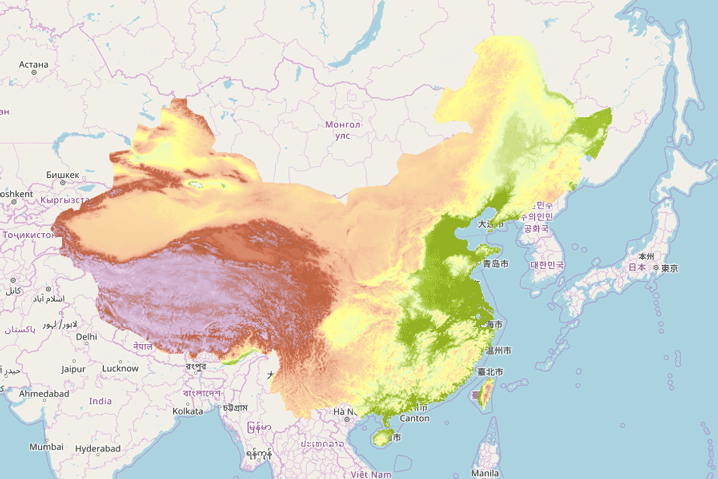 栅格